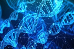 Carb Choice DNA test NZ