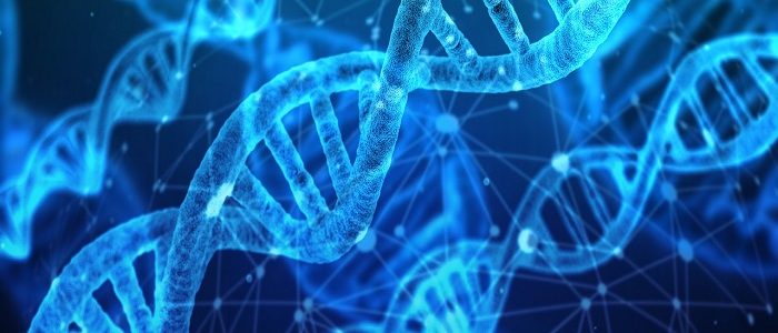 Carb Choice DNA test NZ